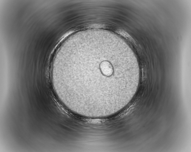 X0000086950828200704301216