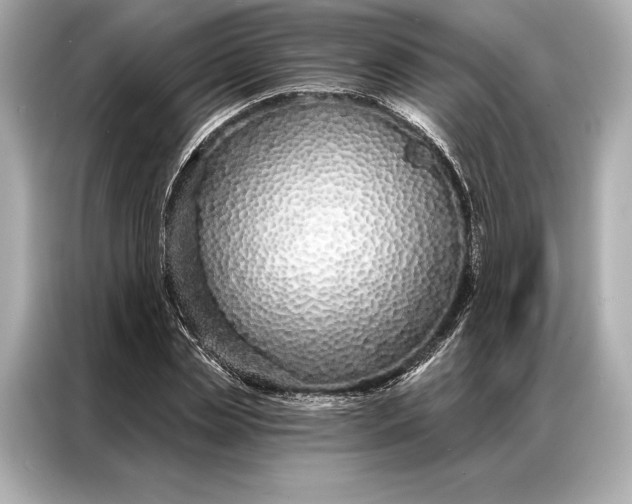 X0000086950829200704301216