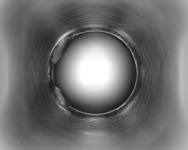 X0000086950830200704301216