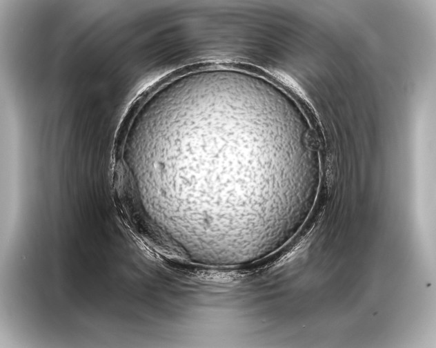 X0000086950831200704301216