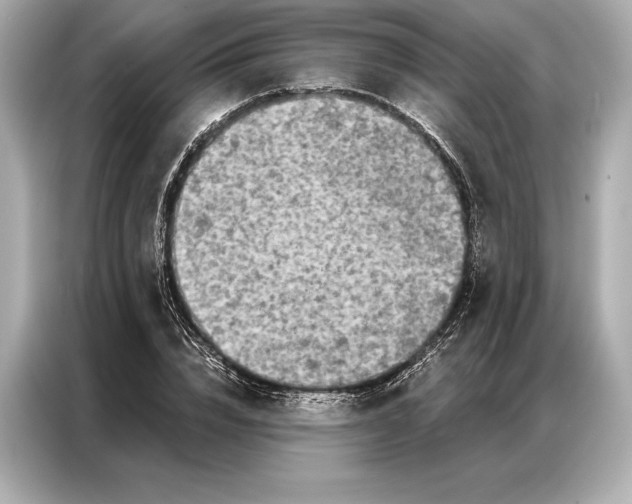 X0000086950832200704301216