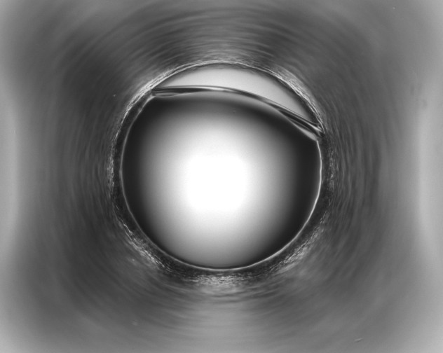 X0000086950834200704301216