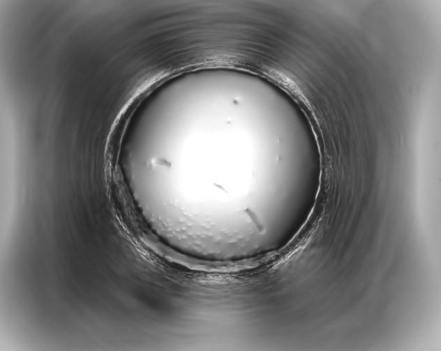 X0000086950835200704301216