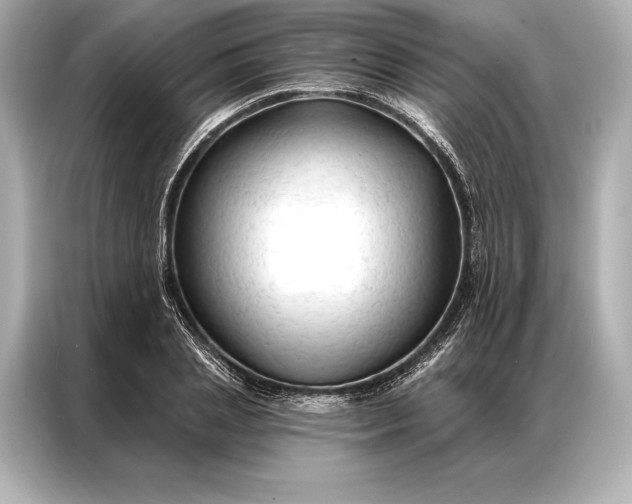 X0000086950837200704301216