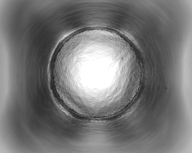 X0000086950840200704301216