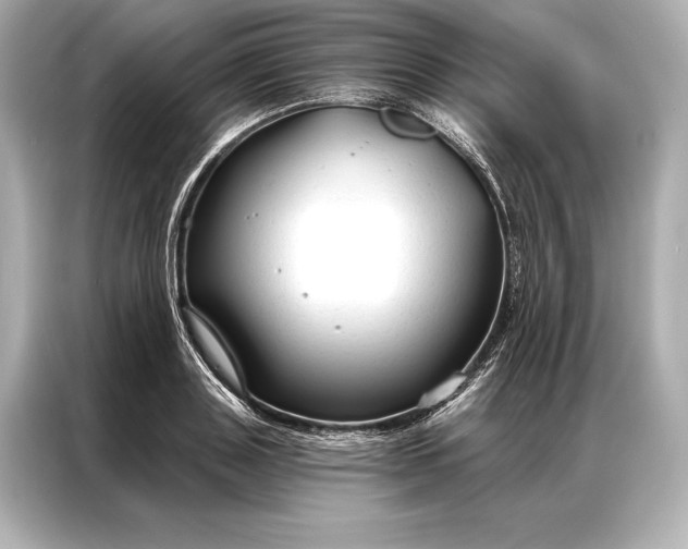 X0000086950843200704301216