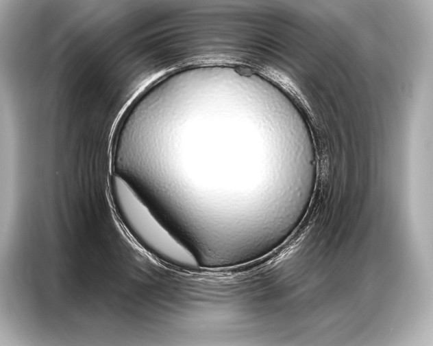 X0000086950844200704301216