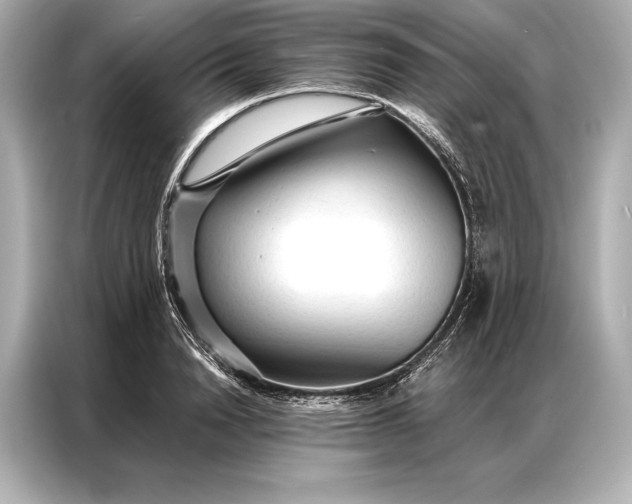 X0000086950846200704301216