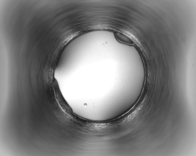 X0000086950849200704301216