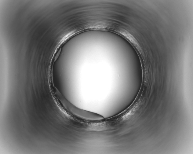 X0000086950850200704301216