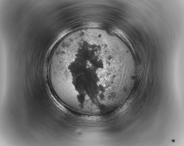 X0000086950851200704301216