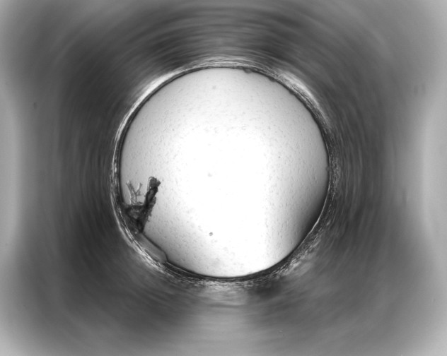 X0000086950852200704301216