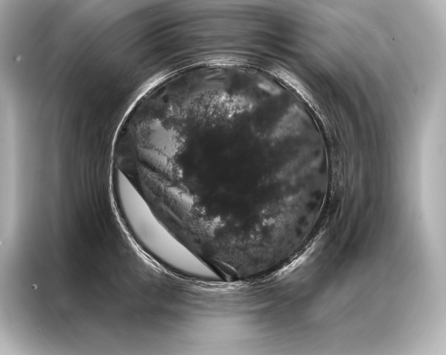 X0000086950853200704301216