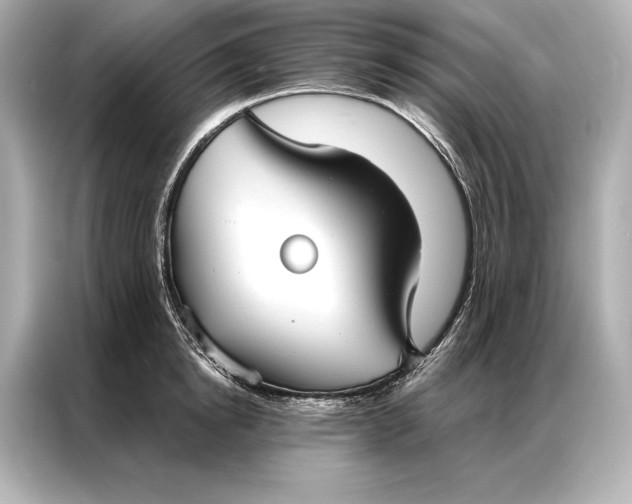 X0000086950854200704301216