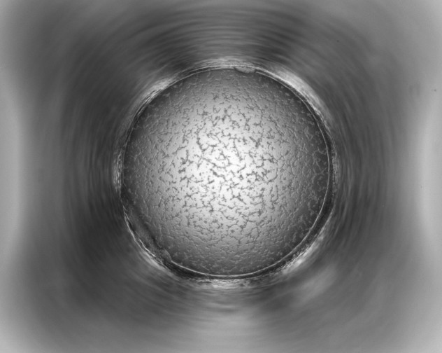 X0000086950857200704301216