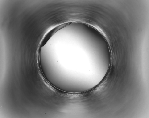 X0000086950862200704301216