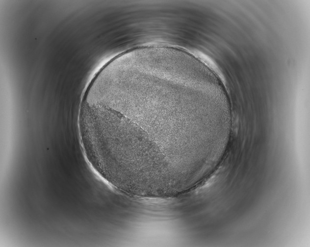 X0000086950863200704301216