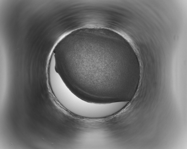 X0000086950864200704301216