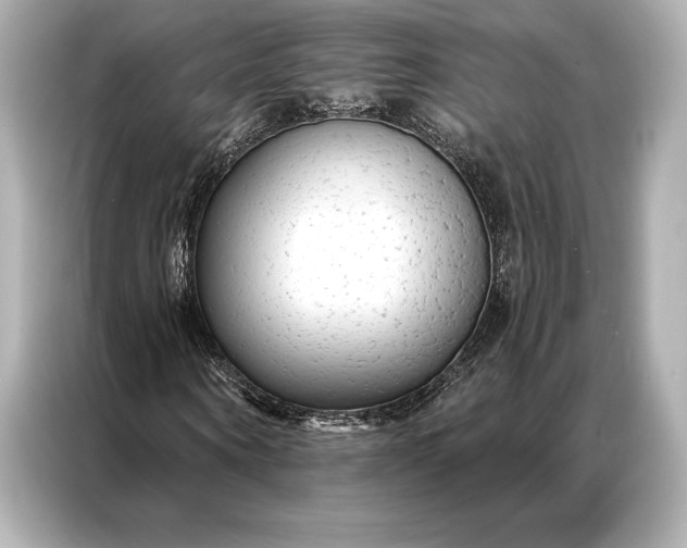 X0000086950866200704301215