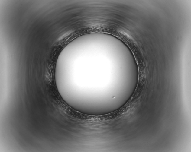 X0000086950869200704301215