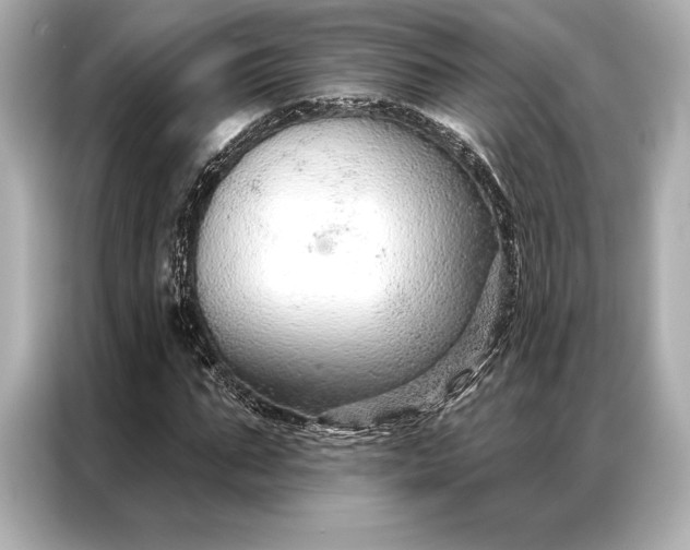 X0000086950871200704301215