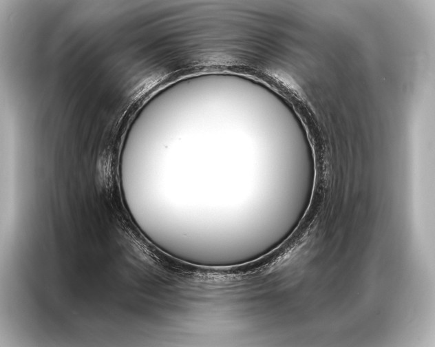 X0000086950873200704301215