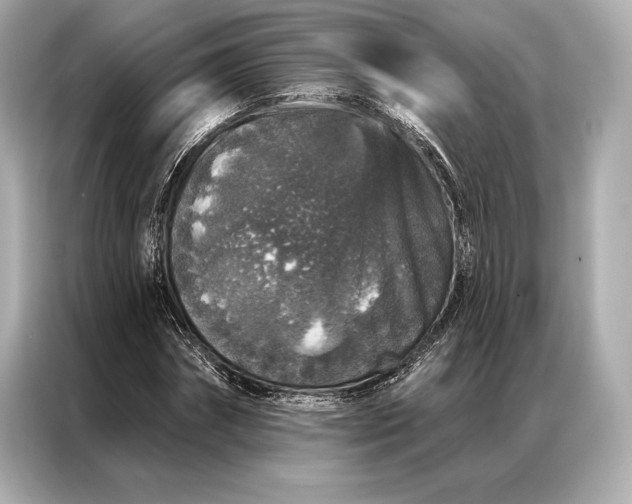 X0000086950874200704301215