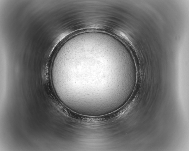 X0000086950875200704301215