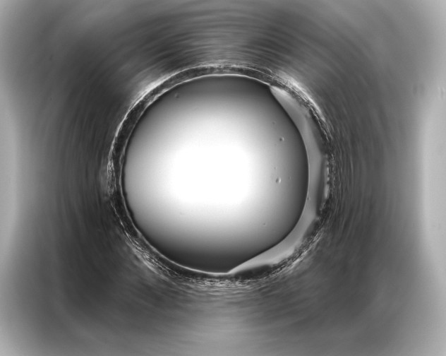 X0000086950876200704301215