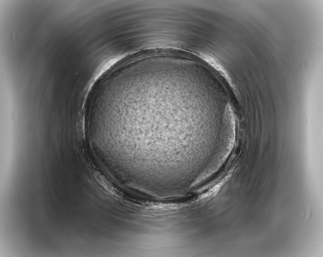 X0000086950877200704301215