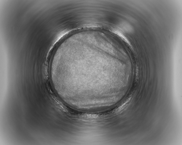 X0000086950878200704301215