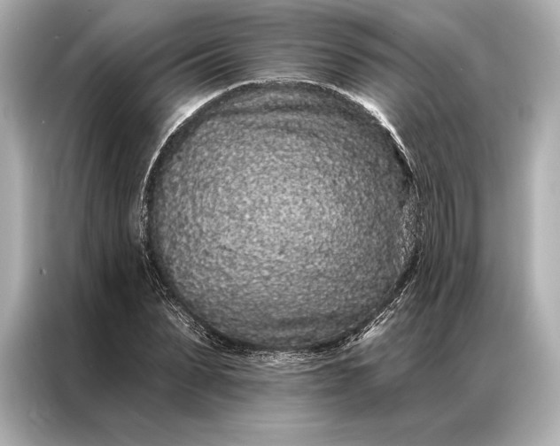 X0000086950879200704301215