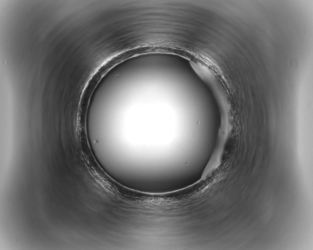 X0000086950880200704301215