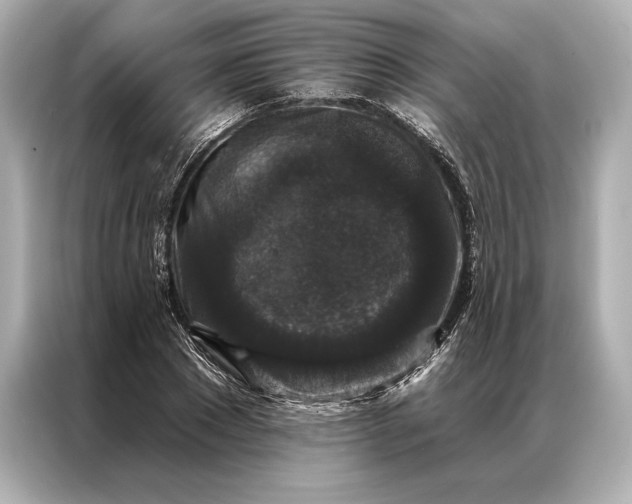 X0000086950881200704301215