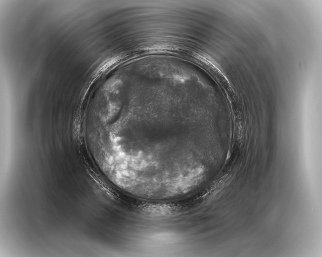 X0000086950882200704301215