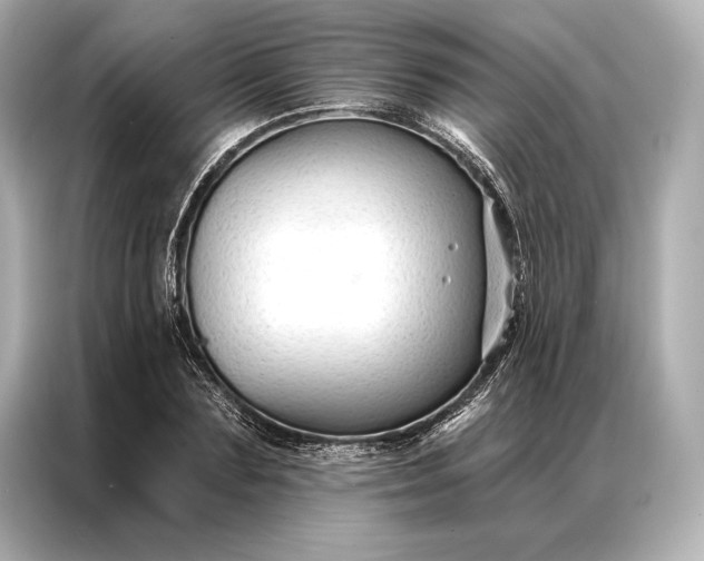 X0000086950883200704301215