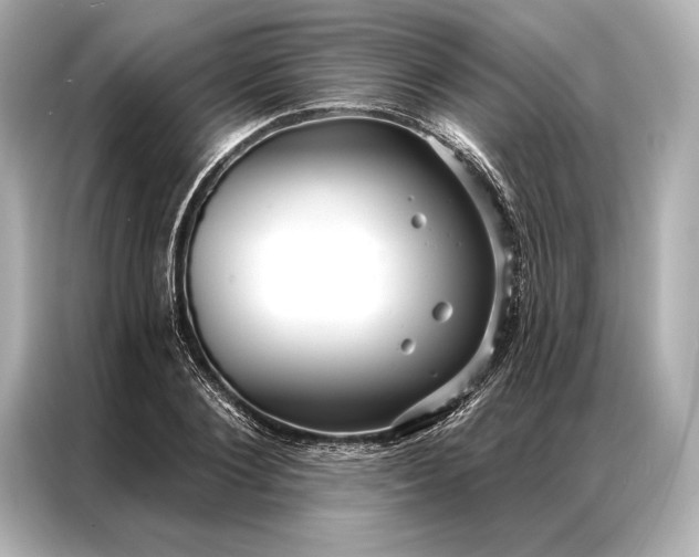 X0000086950884200704301215