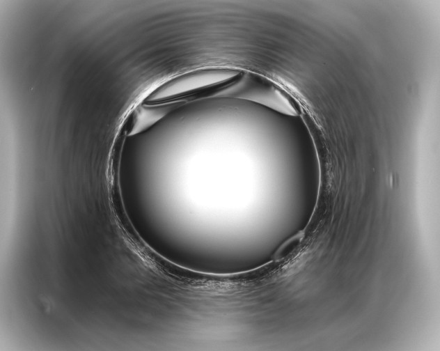 X0000086950885200704301215