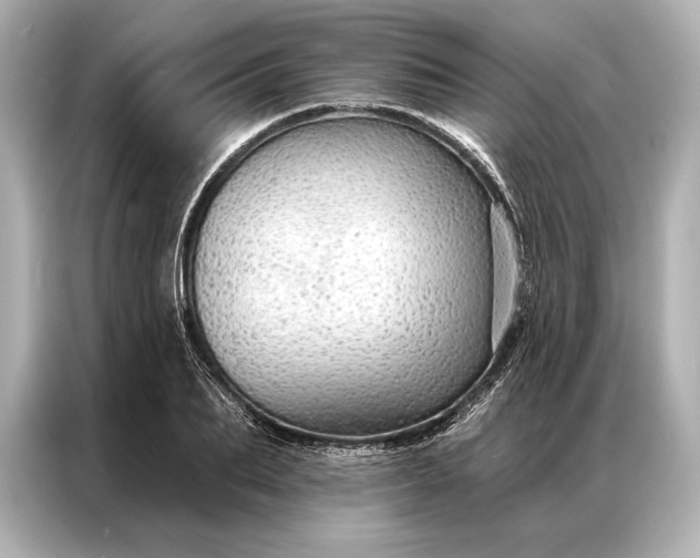 X0000086950887200704301215