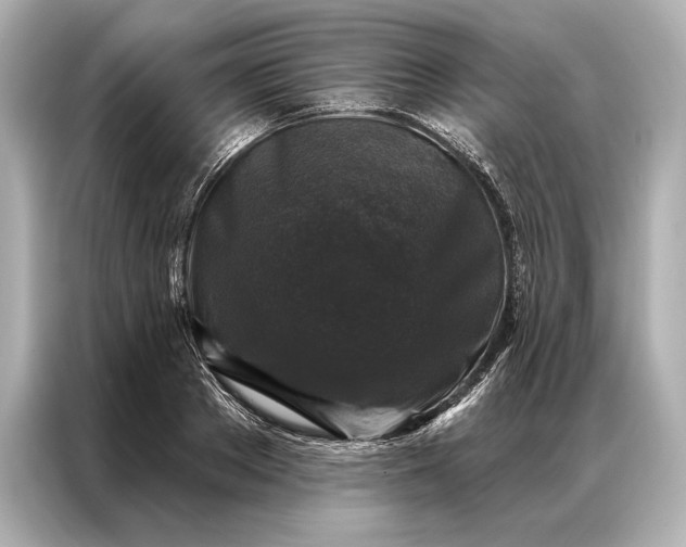 X0000086950889200704301215