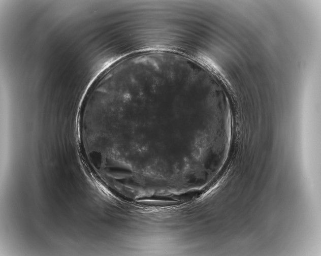 X0000086950892200704301215