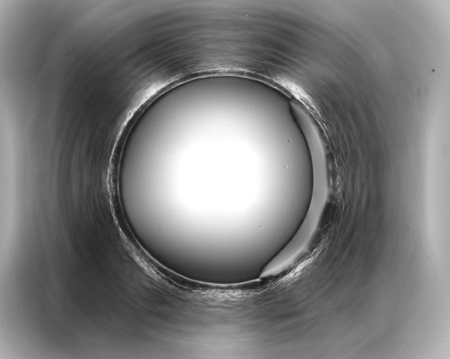 X0000086950893200704301215