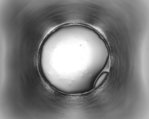 X0000086950895200704301215