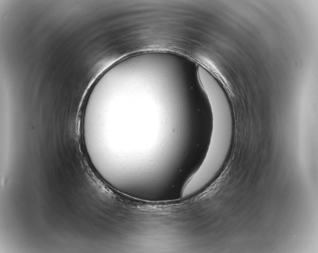 X0000086950900200704301215