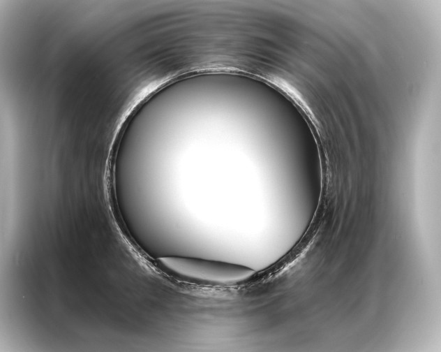 X0000086950901200704301215