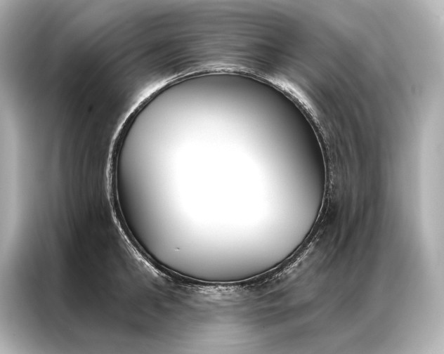 X0000086950902200704301215