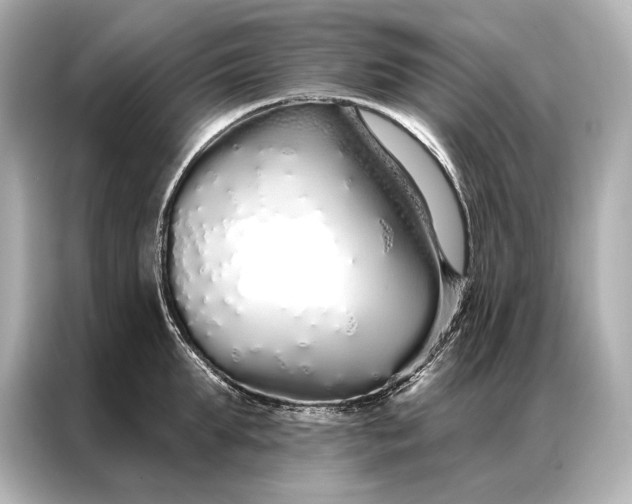 X0000086950903200704301215