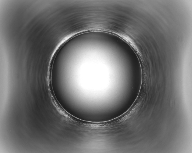 X0000086950904200704301215