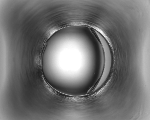 X0000086950905200704301215