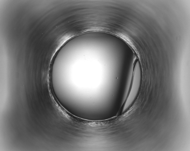 X0000086950906200704301215